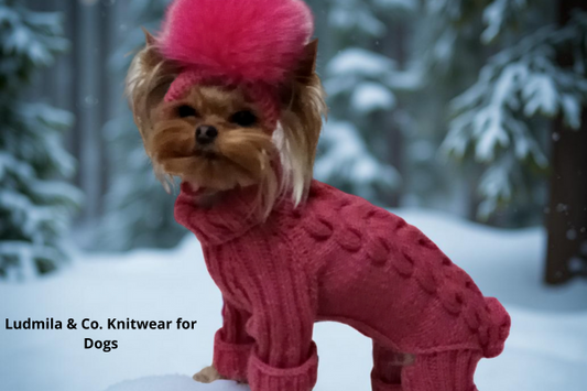 Small dog wearing a knitted jumpsuit in winter — handmade warm dog clothes by Ludmila & Co