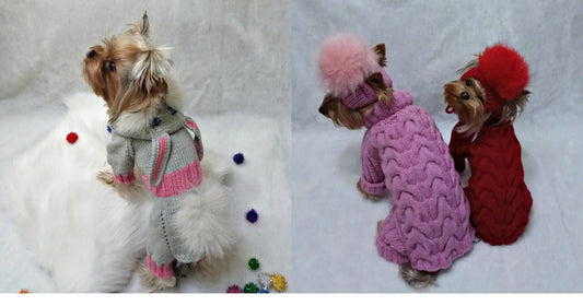 A dog in a timeless cable-knit sweater sitting beside another dog in a trendy, colorful hoodie — a visual contrast between classic and modern dog fashion.