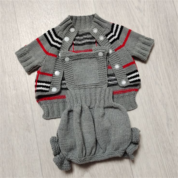 Gray overalls for small dogs