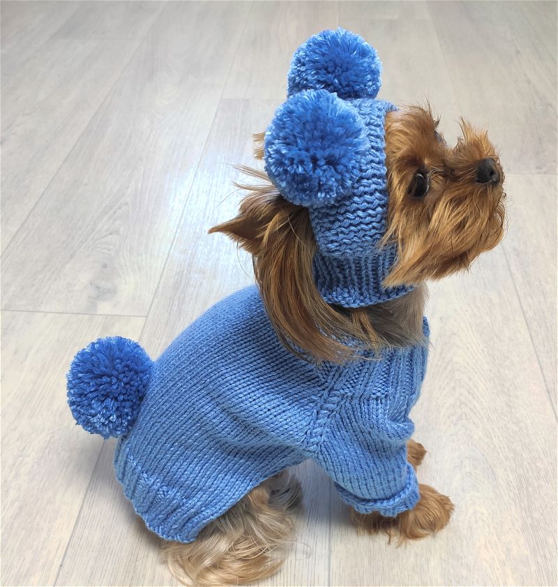 Custom handmade dog sweater and matching pompom hat on small dog