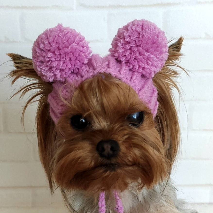 Knitted dog hat with two pompoms, handmade and custom-sized for small dogs