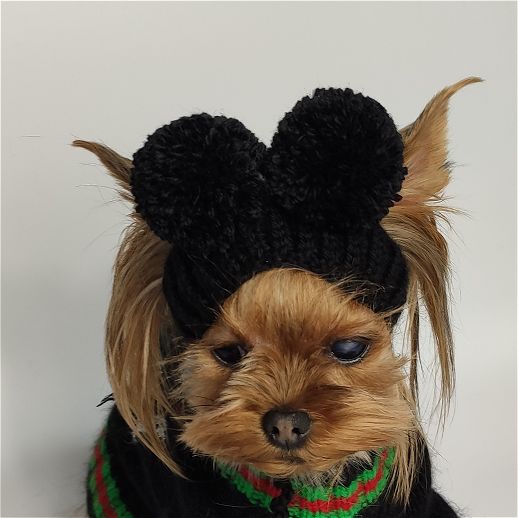 Knitted dog hat with two pompoms, handmade and custom-sized for small dogs