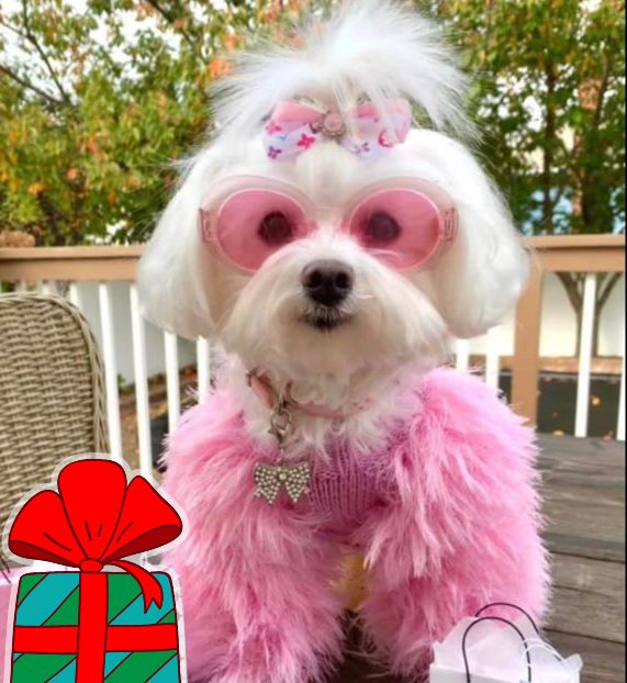 Fluffy pink dog sweater