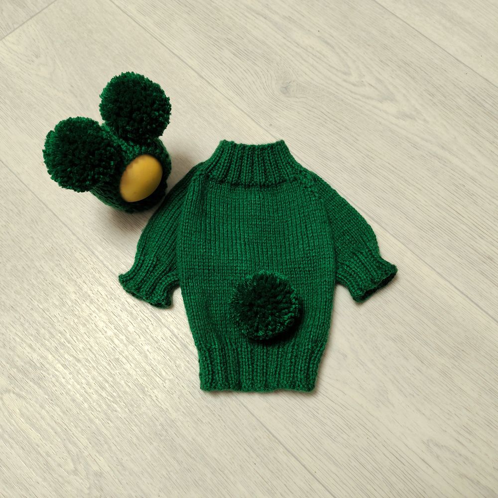 Dog sweater green, hat dog with two pompoms