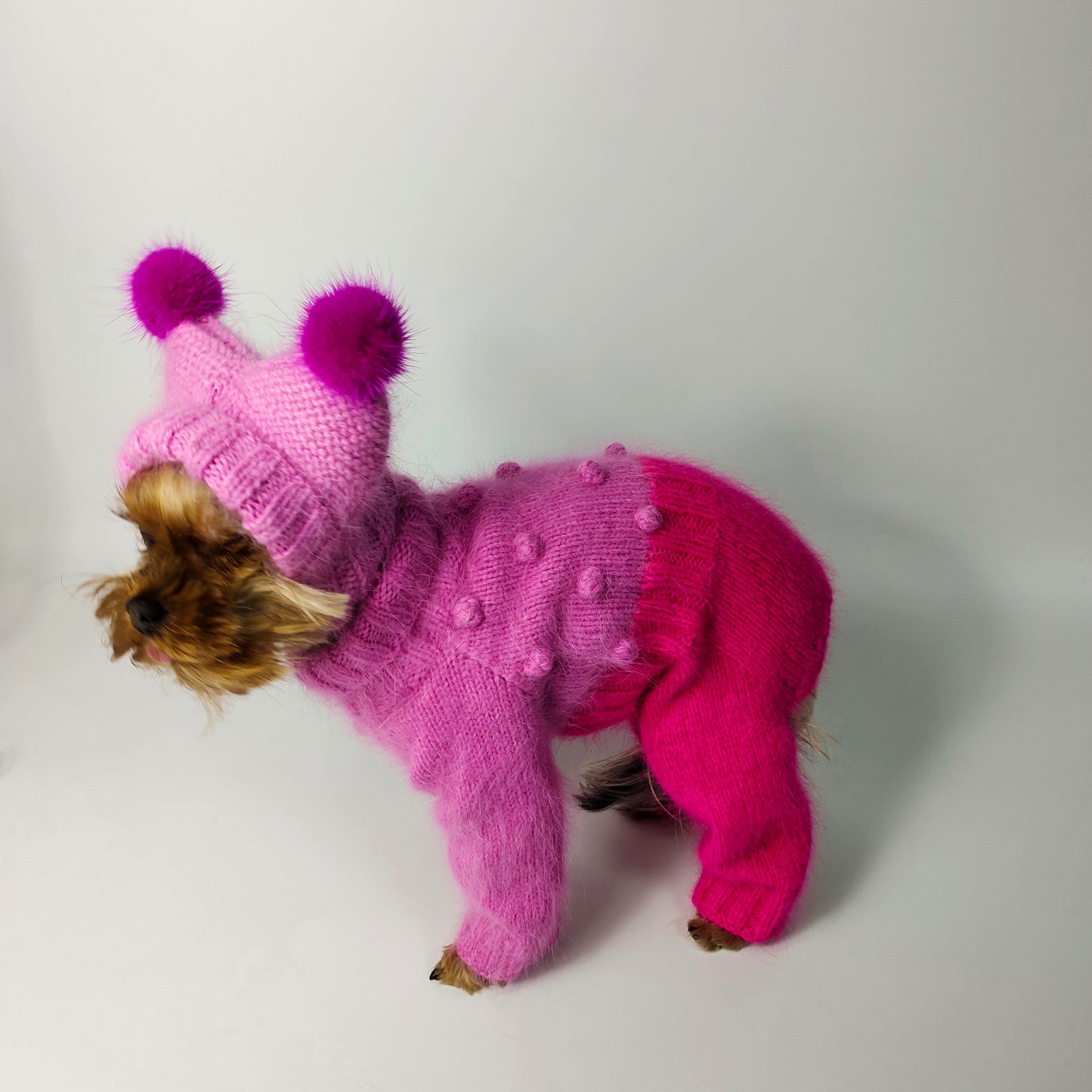 Pink dog jumpsuit knit and hat