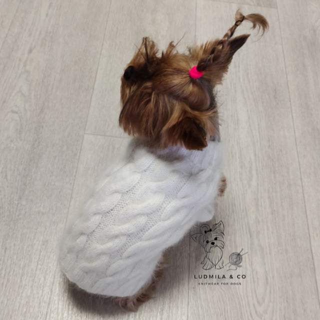 White fluffy angora sweater for small dog, handmade knitwear by Ludmila & Co