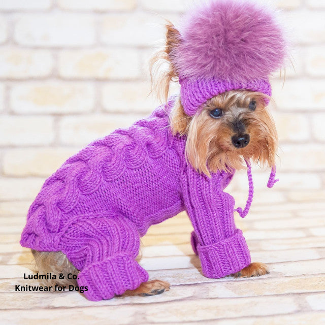 Knitted dog jumpsuit with hat – merino wool for small dogs | Ludmila & Co