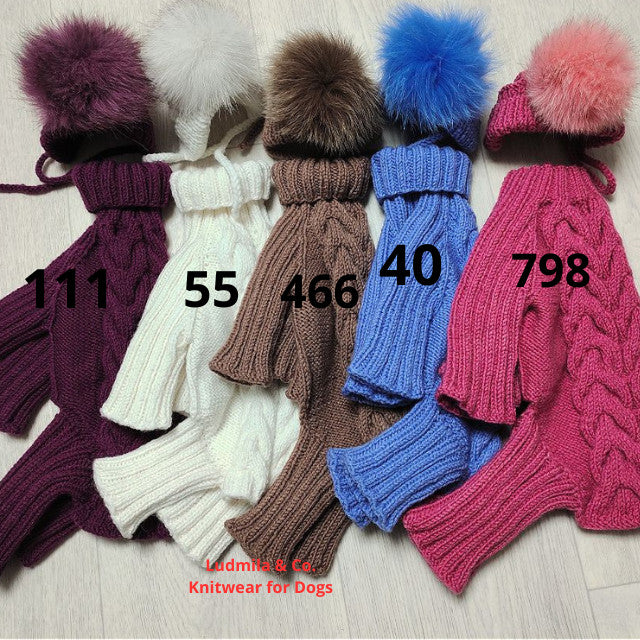 Knitted dog jumpsuit with hat – merino wool for small dogs | Ludmila & Co