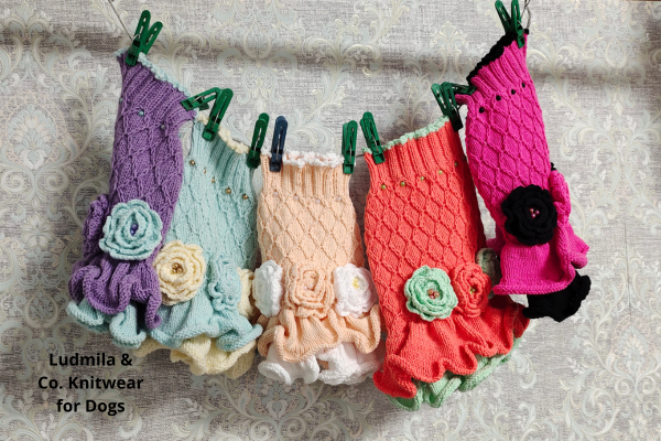 Stylish winter knitwear for small dogs – handmade collection in multiple colors