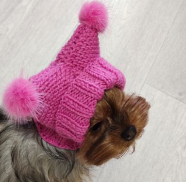 Handmade knitted dog hat with double pom-poms – warm winter hat for small breed like Chihuahua or Yorkie