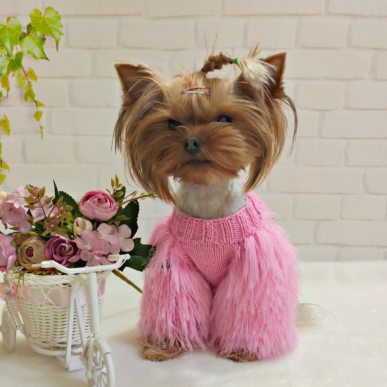 Handmade knitted dog sweater for small breed