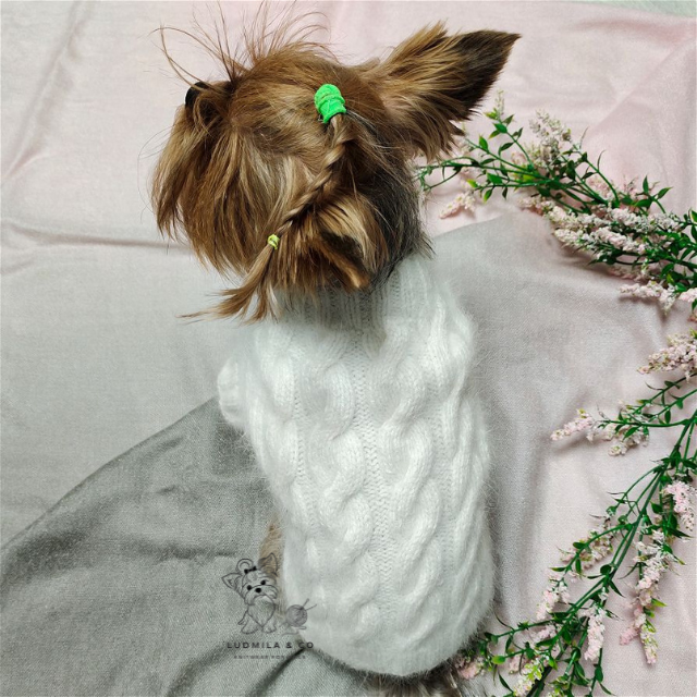 White fluffy angora sweater for small dog, handmade knitwear by Ludmila & Co
