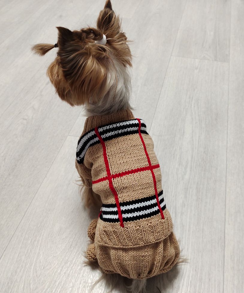 Striped cotton dog jumpsuit set with jacket and ruffled pants for small dogs