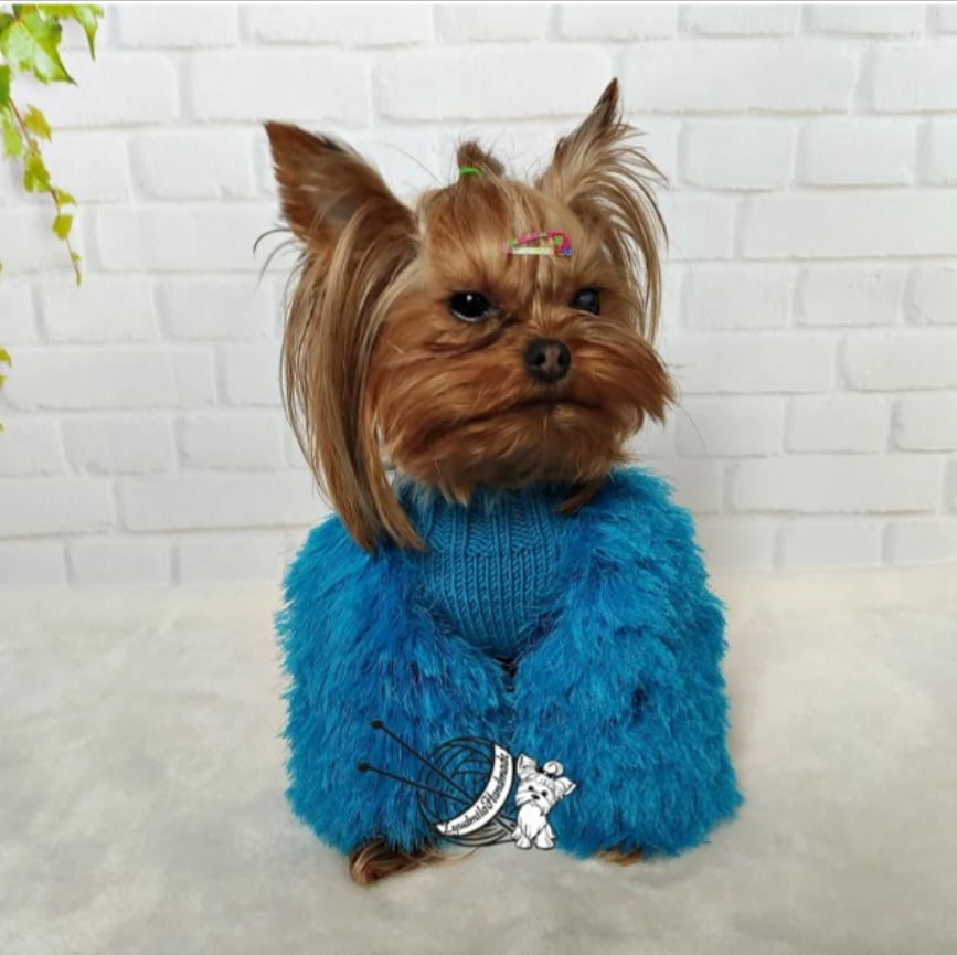 Fluffy blue dog sweater