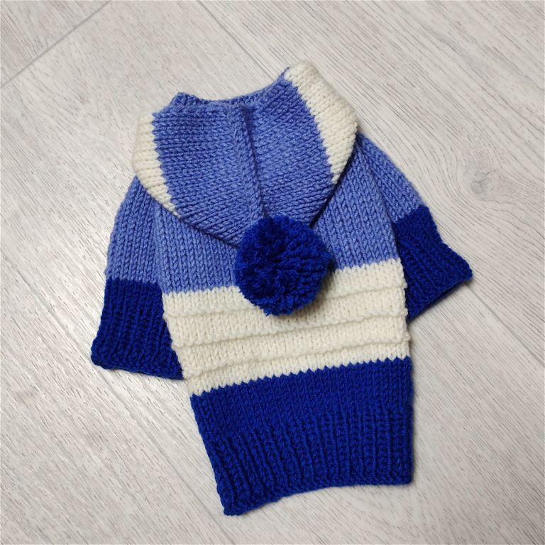 Blue knitted sweater  with a hood for small dogs made of wool yarn