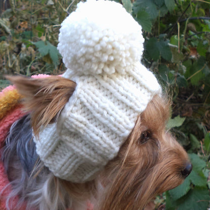 Handmade knitted dog hat with pompom, custom made to fit small dog