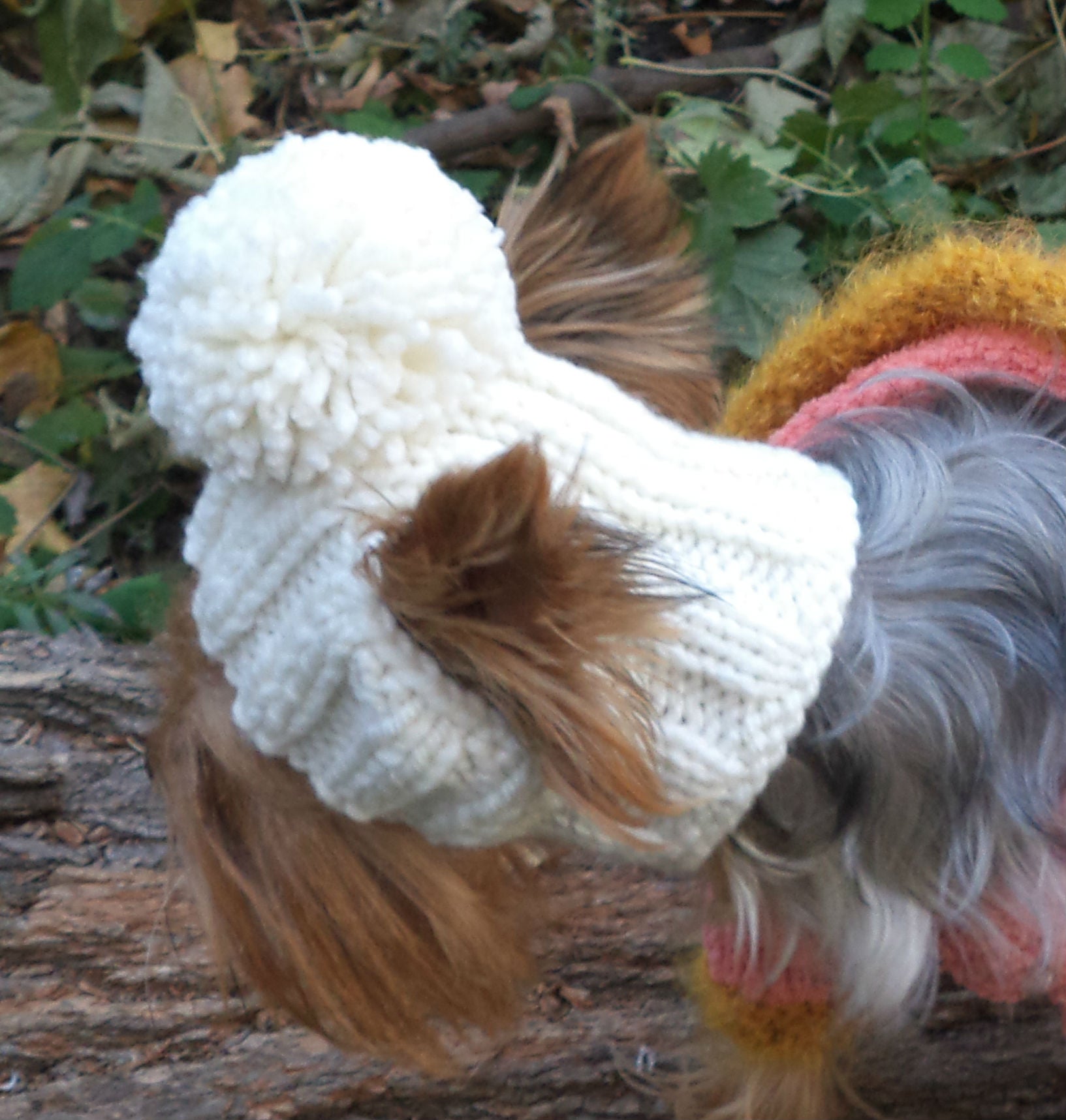 Handmade knitted dog hat with pompom, custom made to fit small dog