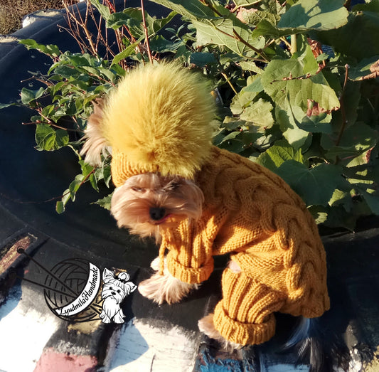 Knitted dog jumpsuit