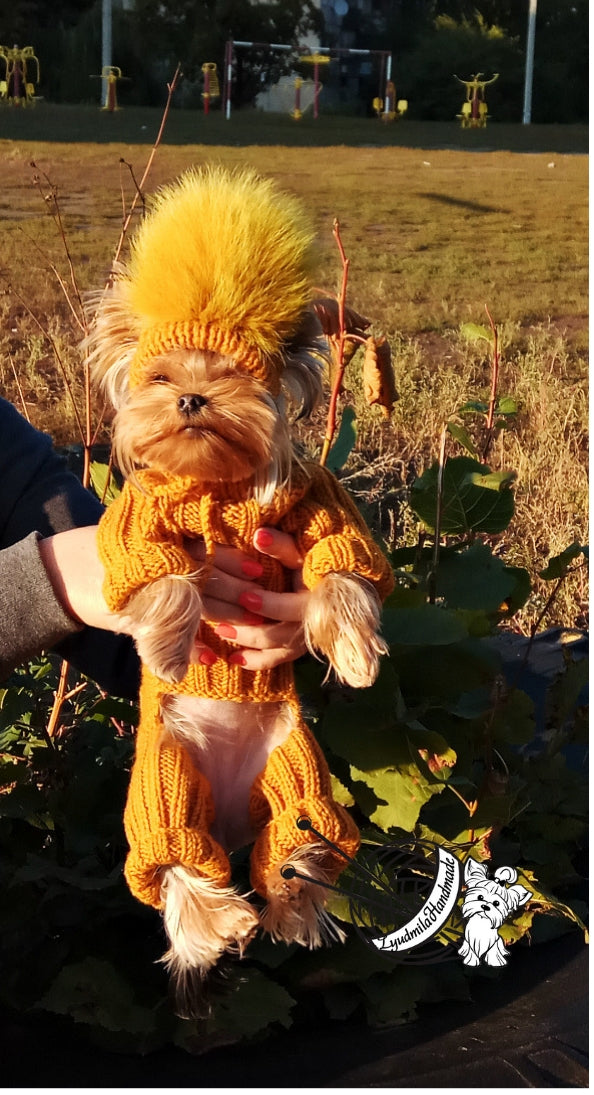 Knitted dog jumpsuit