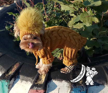 Knitted dog jumpsuit