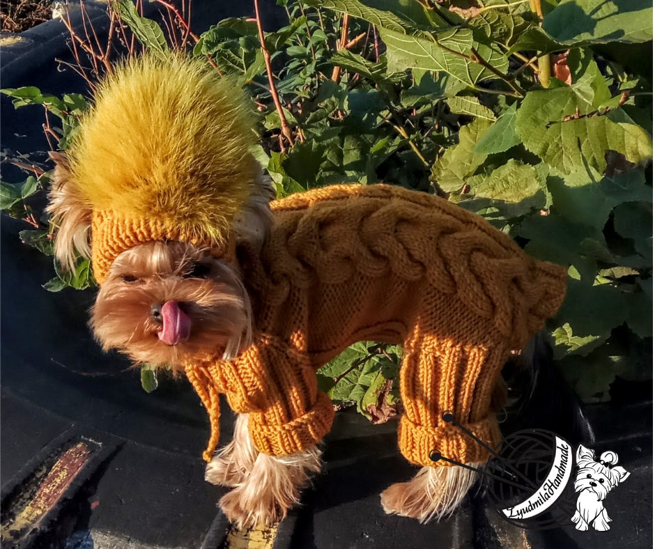 Knitted dog jumpsuit
