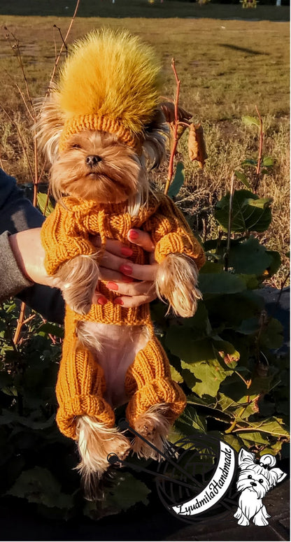 Knitted dog jumpsuit