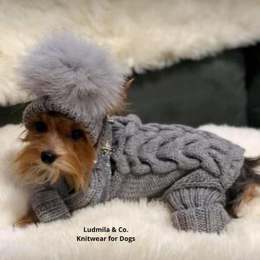 Small dog wearing a knitted merino wool jumpsuit with matching pom-pom hat, ideal for Yorkies and Chihuahuas in winter.