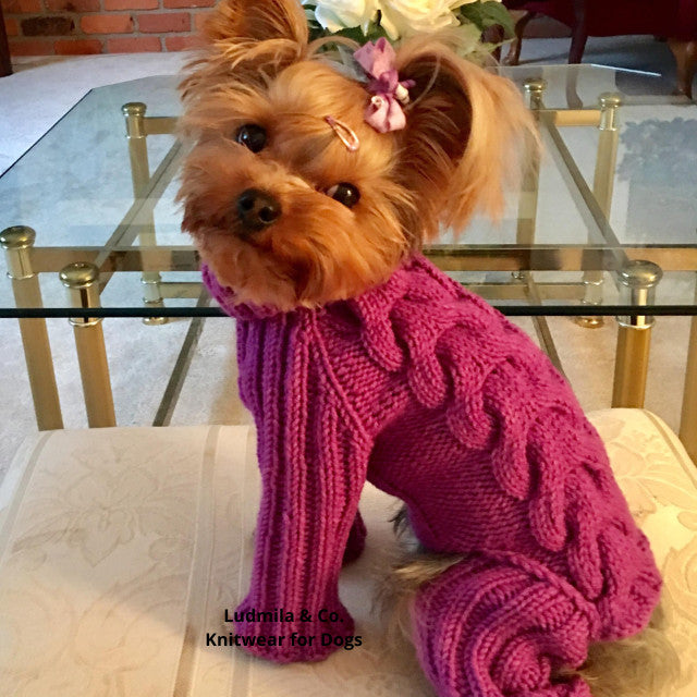 Knitted dog jumpsuit with hat – merino wool for small dogs | Ludmila & Co